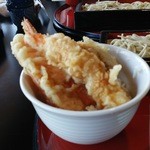 あさひ山 蛍庵 - ミニ天丼