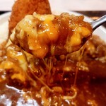 本家絶品！ 煮込みカツカレーの店 - 料理写真: