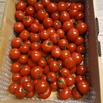産直トマト無人販売所センター - アベーズキッチンファームのミニトマト1000円✨✨