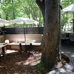 ステーキ&ビストロ 千里中央 SEN℃ - 
