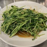 JINGLE - 豆苗のXO醬炒め850円