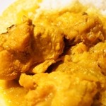 辛口飯屋 森元 - チキンカレー