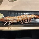 土佐いろり炉ばた 八一六 - 