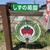 しずの苺園 直売所 - 外観写真:【2026.5.17(日)】店舗の看板