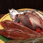 Gyosaiomotenashikitagawa - 三河湾鮮魚色々