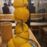 朝挽き もつ焼き フィーバータイガー - 