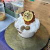 スノウドロップ - 