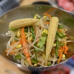 和牛焼肉 築地牛武 - 季節のミックスナムル