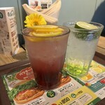 フレッシュネスバーガー - ドリンク写真: