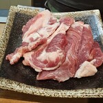 360546223 - 13ヶ月のホゲット