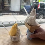 리비스코