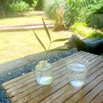 志緑時中 - 