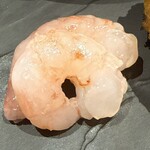 北海道海鮮料理 十六 - 