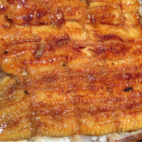 野田岩 日本橋高島屋特別食堂 - 