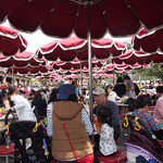 キャプテンフックス・ギャレー - キャプテンフックス・ギャレー