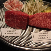 博多みやちく - 本日のお肉
