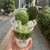八十八 - ドリンク写真: