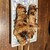 炭火焼とり えんや - 料理写真: