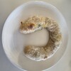 ブーランジュリー ラニス - 料理写真: