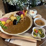 grace - 薬膳カレーセット