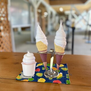 八紘学園 農産物直売所_2