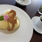 Seahorse Club - 