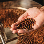 PROUD COFFEE - 料理写真:自家焙煎コーヒー