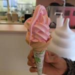 フルーツ工房 - 2015年03月09日（月）　PM 12:30　いちごソフト（350円・税込）