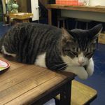 たまゆらん - ぎんちゃん(2012.09)