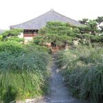 たまゆらん - 萩の寺：常林寺
