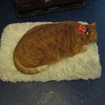 たまゆらん - サヴォン君(2013.02)