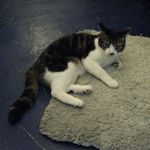 たまゆらん - うーちゃん(2013.03)