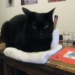 たまゆらん - アロマちゃん(2013.03)