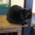 たまゆらん - アロマちゃん(2013.03)