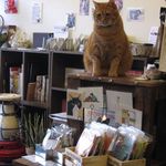 たまゆらん - サヴォン君(2013.03)