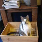 たまゆらん - ヅラヅラ君(2014.03)