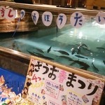 ざうお - イベントコーナー(201503)