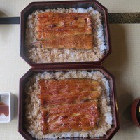 天然うなぎ しま村 - お重箱「松」の比較（上が養殖、下が天然）