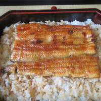 天然うなぎ しま村 - 国産養殖うなぎ【松】