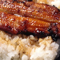 菊屋 - うな丼1800円！