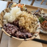 ごはん屋 はれ - 