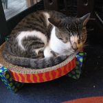 たまゆらん - ヅラヅラ君(2014.10)