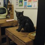 たまゆらん - 影光君(2014.10)