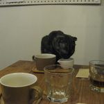 たまゆらん - 獅子君(2014.10)