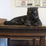 たまゆらん - 獅子君(2014.12)