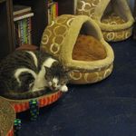 たまゆらん - お休み中のサヴォン君とヅラヅラ君(2014.12)