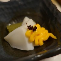 先斗町 四季 よし菜 - 