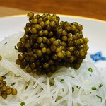 對馬 - 
