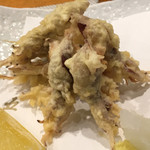 五金 - 蛍烏賊天