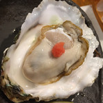 五金 - 島根県産岩牡蠣